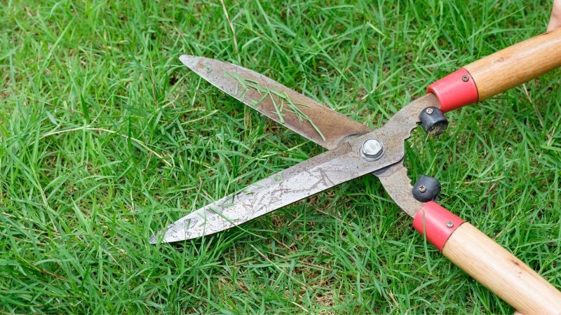 How to Use a Grass Shear
