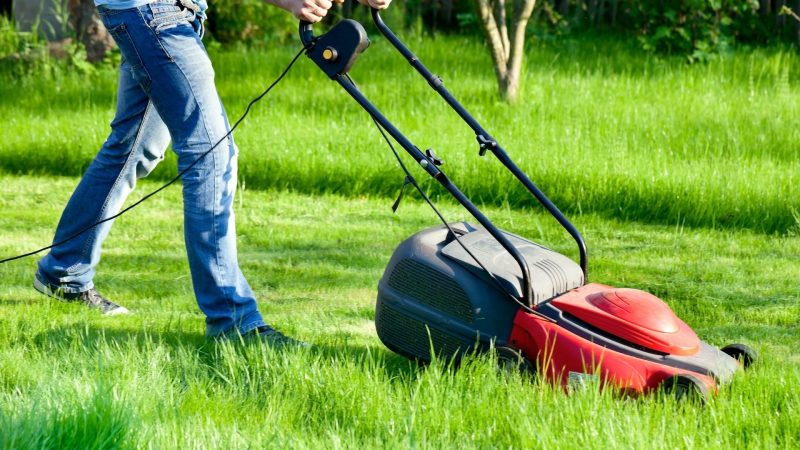 Why Are Mowers Cheaper at Different Times
