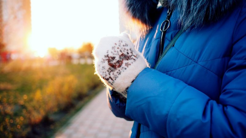 Can Peperomia Frost Survive Cold