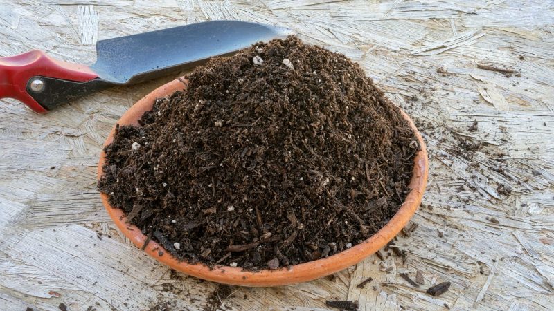 How Do You Sterilize Potting Soil for Reuse