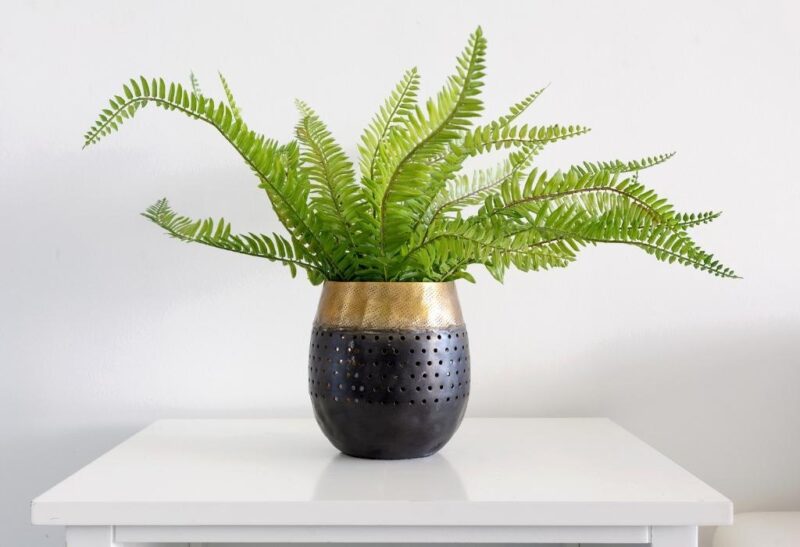 Best Indoor Plant Pots and Large Planters