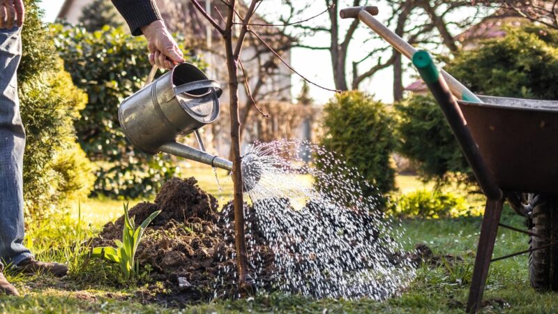 Is metal watering can better than plastic