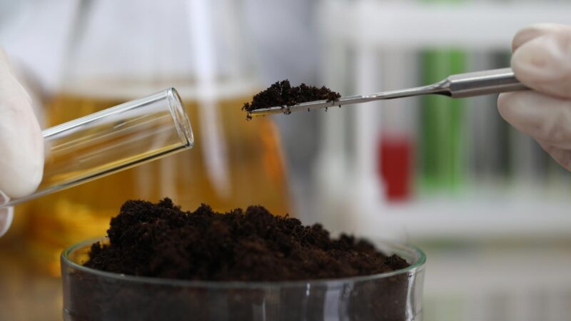 Do Home Soil PH Test Kits Work