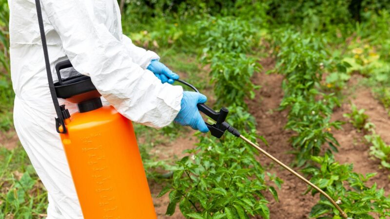 How Do Weed Killers Work