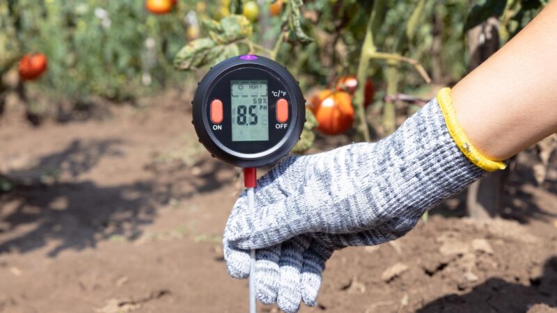 What Is Soil PH and Why Is It Important