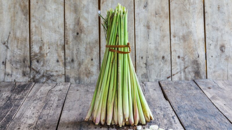 What Is a Lemongrass