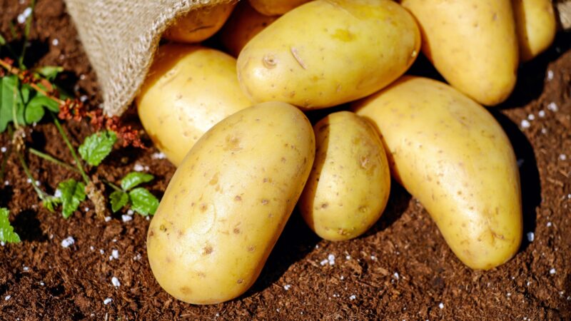 About Potatoes