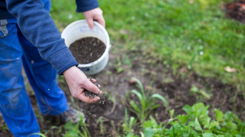 Do I Need a High Potassium Fertilizer