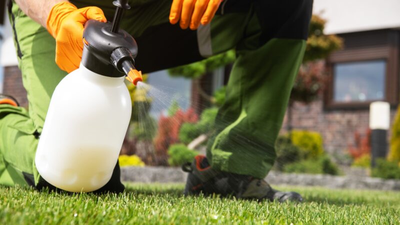 How to Apply Insecticide to a Lawn
